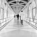 OHSU_Skybridge_1